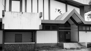 carhartt skate hjalte halberg