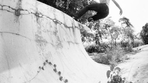 carhartt skate hugo liard