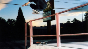 carhartt skate hugo liard