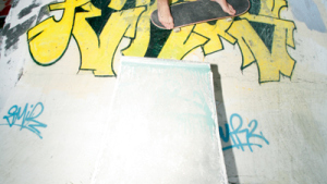 carhartt skate hugo liard
