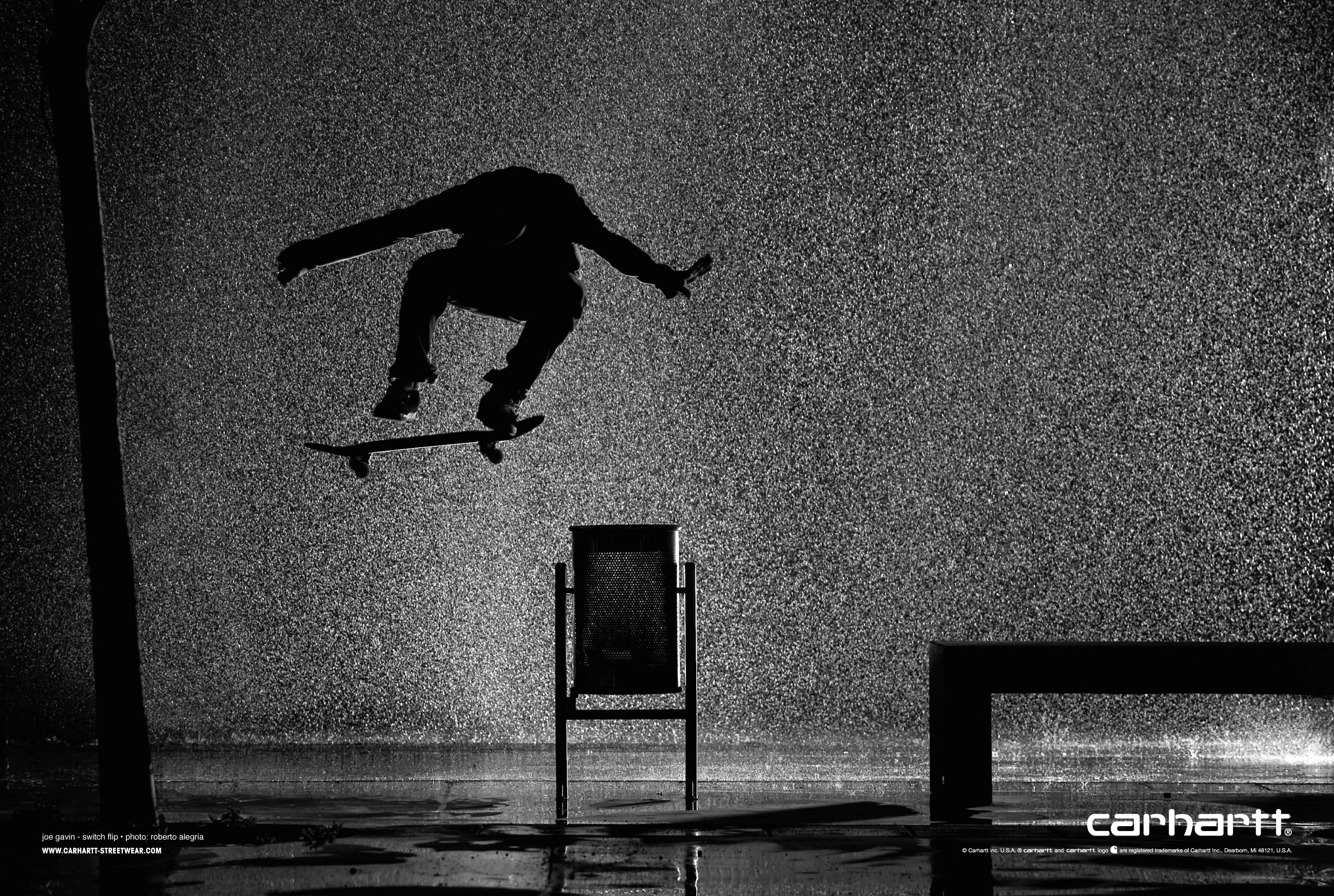 carhartt skate joe gavin