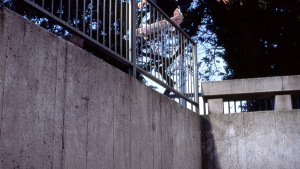 carhartt skate joe gavin