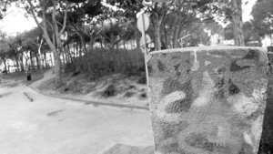 carhartt skate julian furones 
