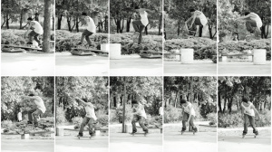 carhartt skate mario wirnsberger