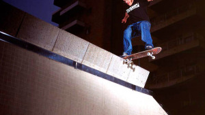 carhartt skate muki rüstig 