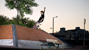 carhartt skate pete ruikka