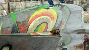 carhartt skate pete ruikka