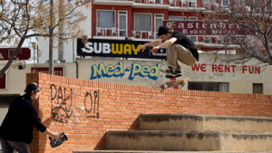 carhartt skate pete ruikka