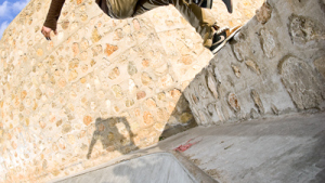 carhartt skate pete ruikka