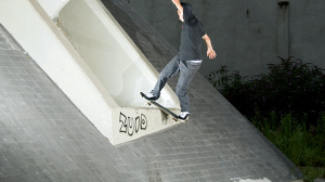 carhartt skate phil zwijsen