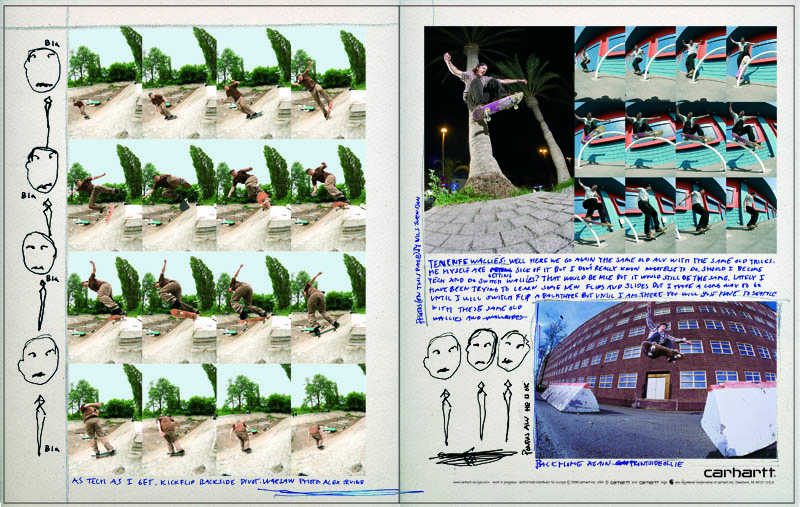 carhartt skate pontus alv