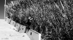 carhartt skate jan solenthaler