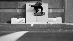 carhartt skate pete ruikka